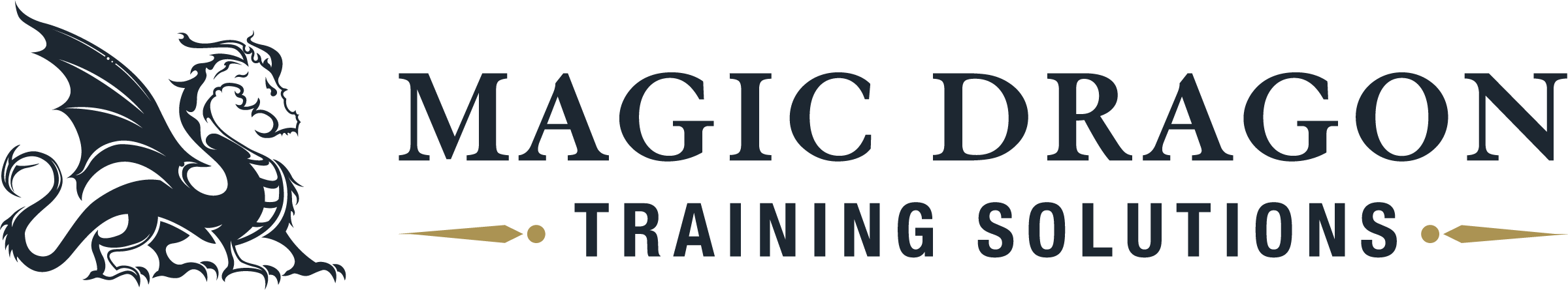 Magic Dragon Training Solutions