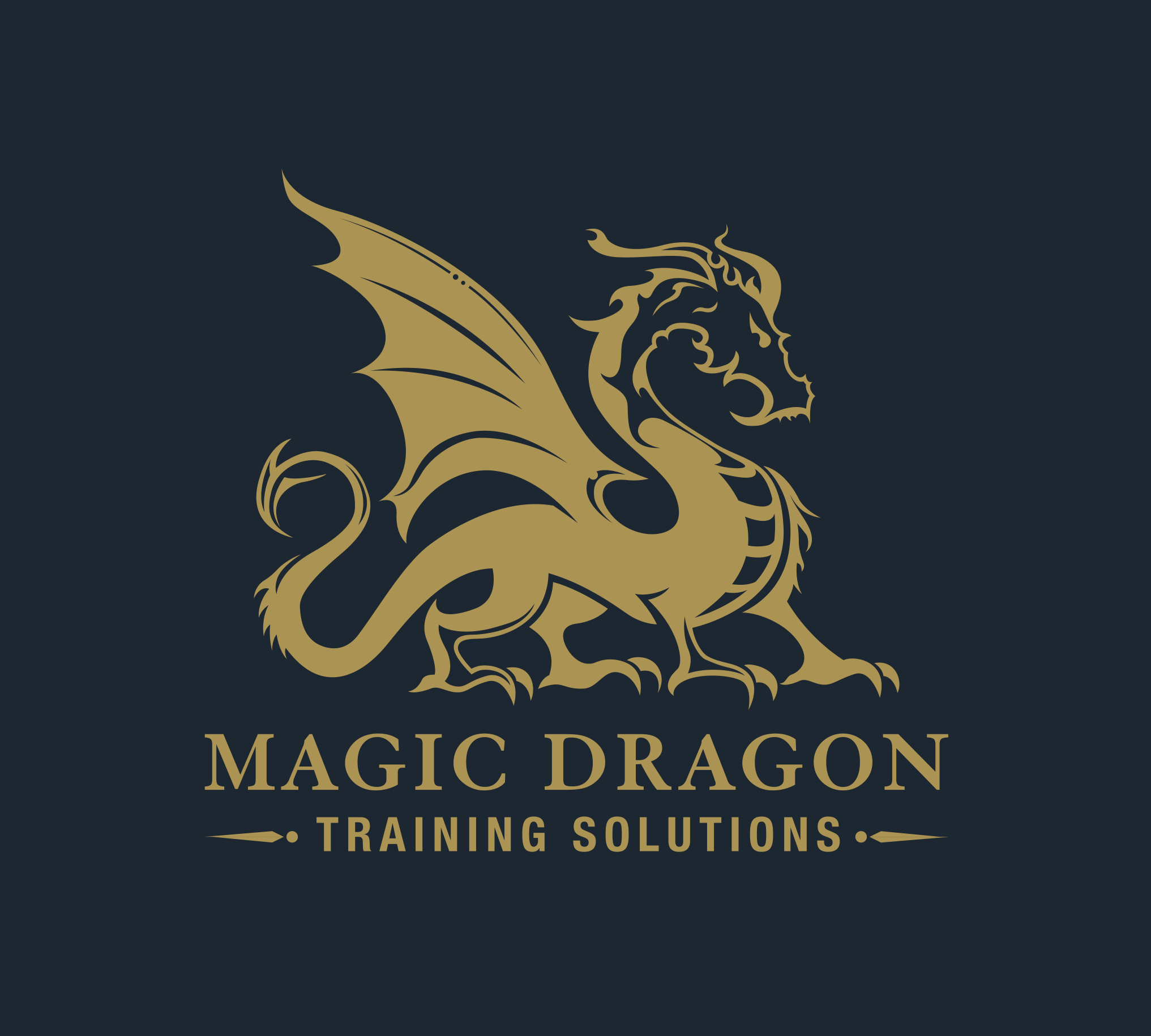 Magic Dragon Training Solutions
