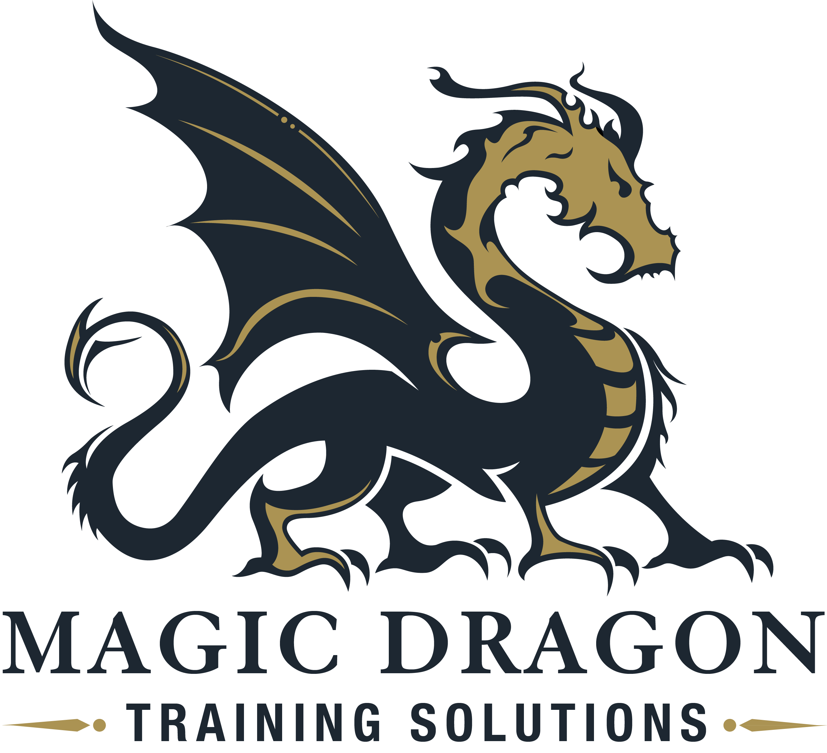 Magic Dragon Training Solutions